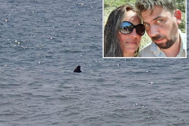 Tatjana and Andrew said they spotted what they believed to be a shark on Tuesday morning SUS-210625-121147001