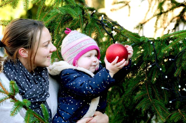 ks16001229-1 Mid Lights phot kate
Lola Purton and her daughter Evie, two enjoy looking at the newly installed Midhurst Christmas tree in the Square.ks16001229-1 PPP-160512-114900001