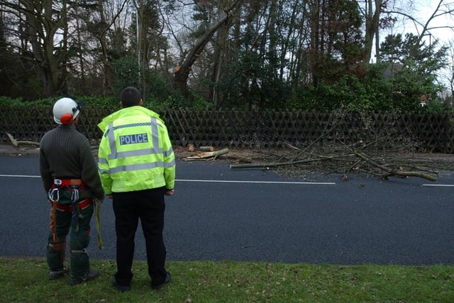 High winds cause part of a tree to fall on Thorpe Road, police closed the road while tree surgeons felled the remainder of the tree and cleared the debris in 2004.