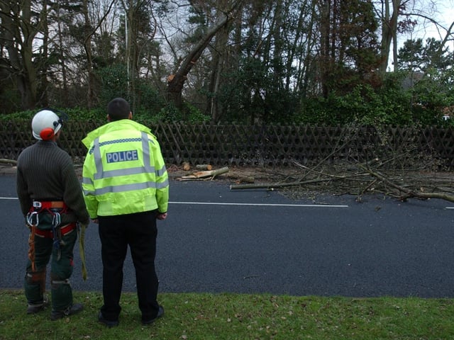 High winds cause part of a tree to fall on Thorpe Road, police closed the road while tree surgeons felled the remainder of the tree and cleared the debris in 2004.