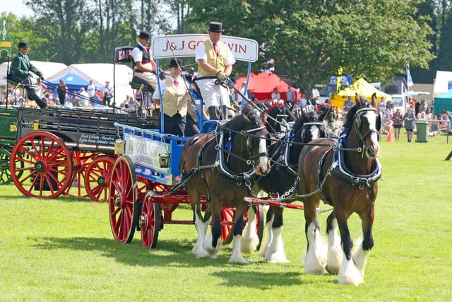 The South Of England Show returned to Ardingly in June 2021, with many of its traditional displays including heavy horses. Photo by Derek Martin Photography.