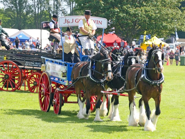 The South Of England Show returned to Ardingly in June 2021, with many of its traditional displays including heavy horses. Photo by Derek Martin Photography.