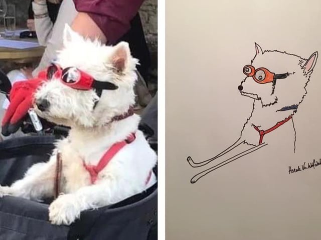 Hercule’s Rubbish Pet Portraits landed a book deal in February and throughout the year, they have raised an epic £100,000 for West Sussex charity Turning Tides. It all started when Worthing dad Phil Heckels sketched a crudely drawn portrait of his pet dog for his parents. Within weeks he was appearing on international television and amassing Facebook followers by the thousands.