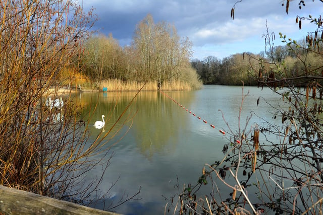 Southwater Country Park near Horsham. Pic S Robards SR2103151 SUS-211222-141928001