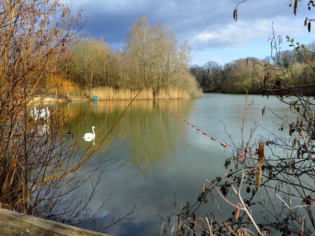 Southwater Country Park near Horsham. Pic S Robards SR2103151 SUS-211222-141928001