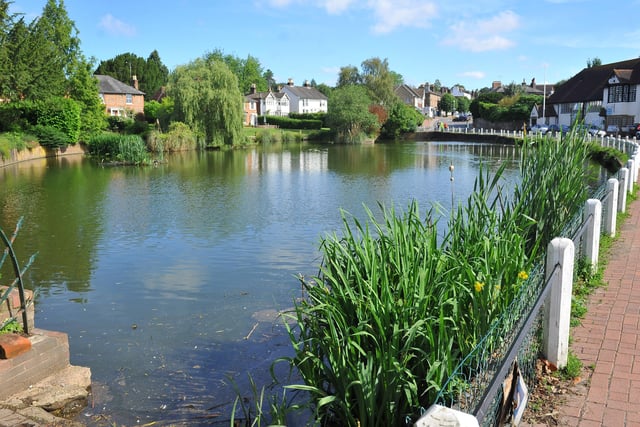 Lindfield pond. Pic S Robards SR2106244 SUS-211222-142107001