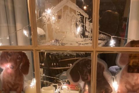 The dog-themed December 18 display
