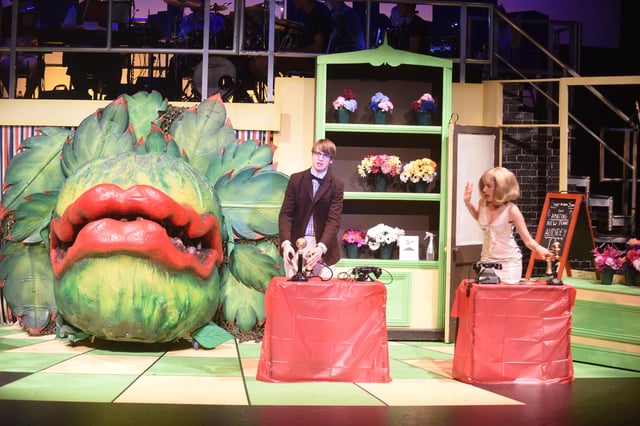 Little shop of Horrors at Key Theatre by KYT EMN-160824-224412009
