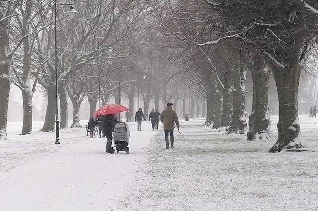 Heavy snow has turned Northampton into a beautiful winter wonderland on Sunday, January 24. Photo by Levi Jackson.