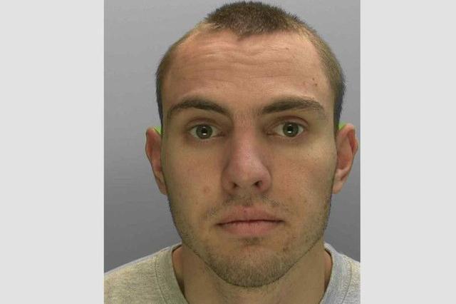 Ivanov was jailed for life and made the subject of an indefinite hospital order. He had admitted killing a 61-year-old man in Crawley in a savage stabbing attack near a playground. Ivanov pleaded guilty to manslaughter with diminished responsibility.