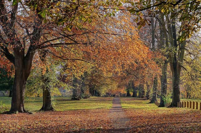Ten of the best places to walk your dog in Northamptonshire.