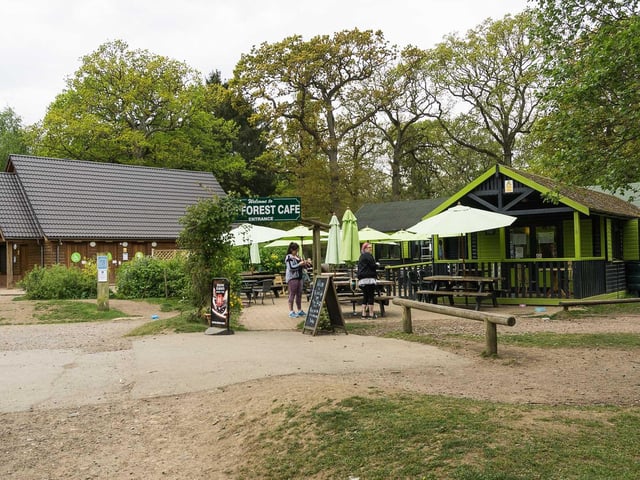 Gary said: "Salcey Forest has a lovely natural environment for dogs to sniff and explore. Scores well due to somewhere to buy refreshments and a toilet block. Parking charge isn’t that cheap but they do have an hour option. I generally like Salcey Forest on a week day. Weekends can be too busy, having to share with mountain bikes and horses which are not always a good mix with dogs. Also a muddy location in winter."

Overall rating: 4/5