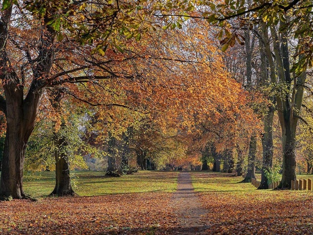 Gary said: "A popular dog walking location for those living in Northampton. Plenty of free parking and dog waste bins. Some owners might not like the busy roads surrounding. Also has a lake which can be seen as a pro or a con."

Overall rating: 4.3/5