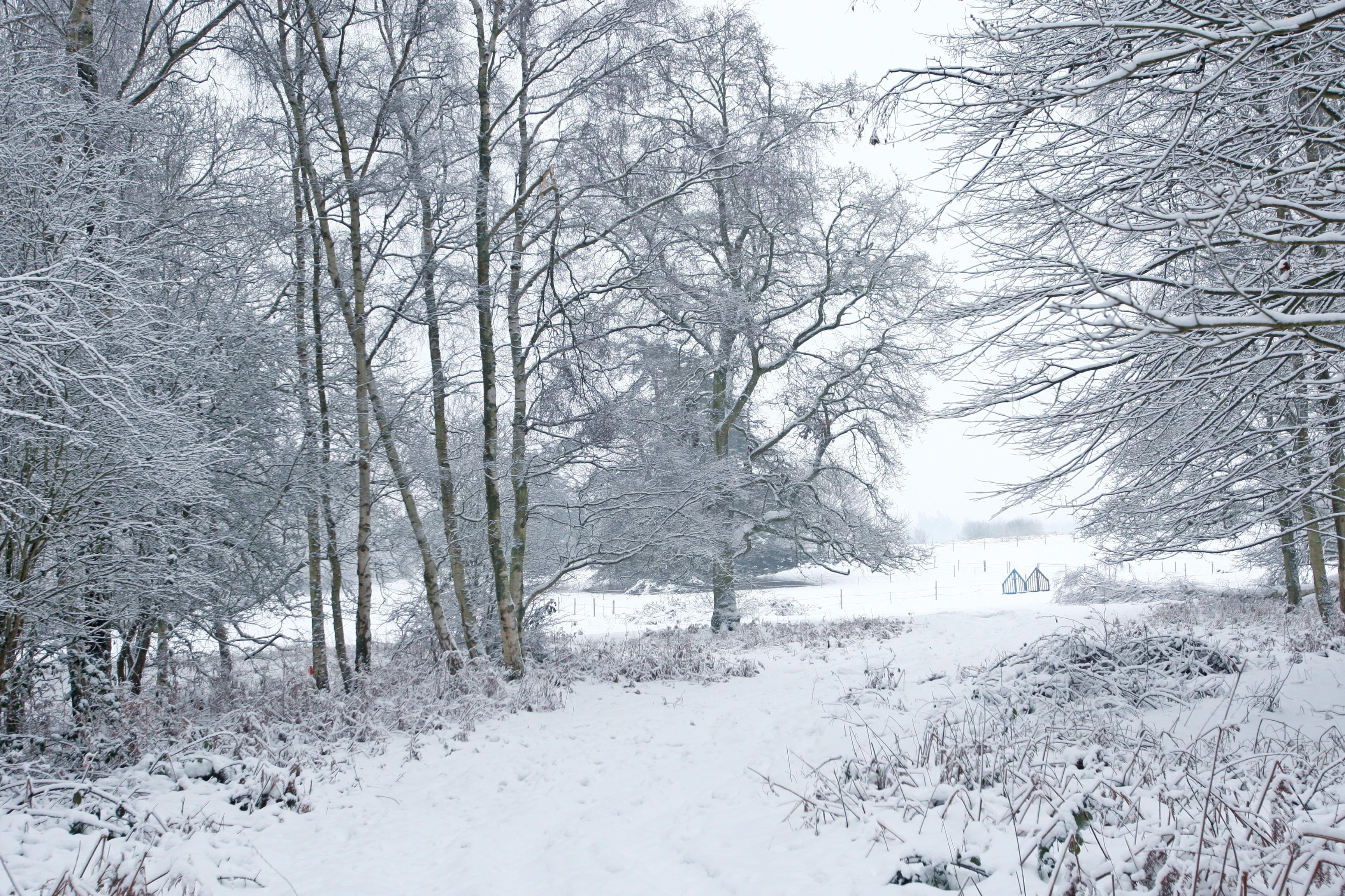 HOR 130110 Snow. Sullington. photo by derek martin