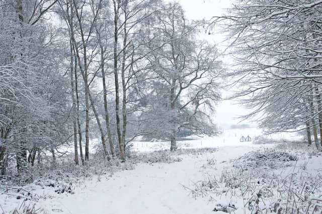 HOR 130110 Snow. Sullington. photo by derek martin