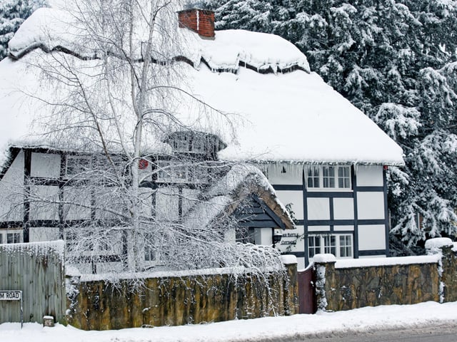 HOR 130110 Snow. Sullington. photo by derek martin