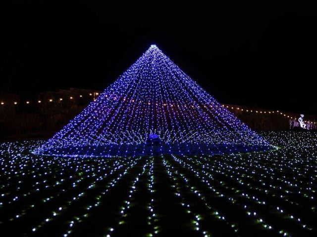 Delapre Abbey put on the ultimate festive display over the Christmas period, which people can still visit until January 2 2022. Visitors can see the grounds come to life with enchanting displays, special effects, tunnels of light, soundscapes and larger than life illuminations.
