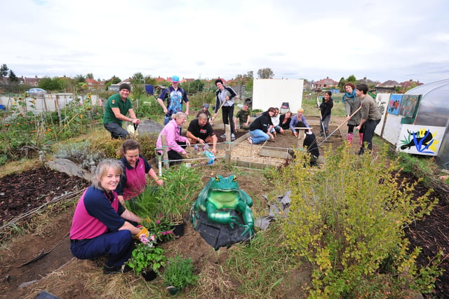 Volunteers lend a helping hand at the Froglife garden at the allotments in Dogsthorpe Road.