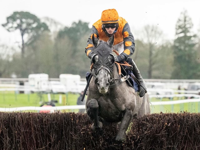 Images from Fontwell's Boxing Day race meeting / Pictures: Darren Cool for Fontwell Park