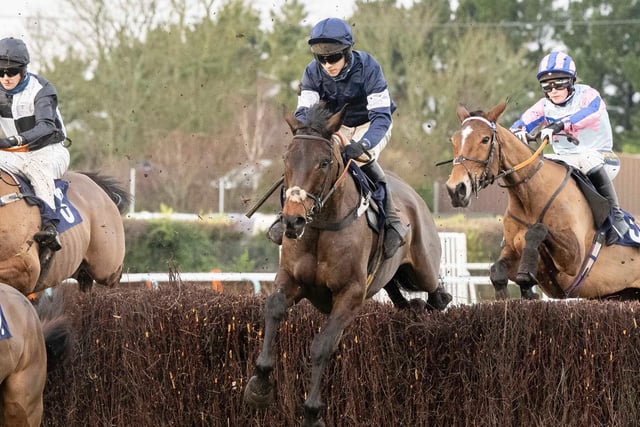 Images from Fontwell's Boxing Day race meeting / Pictures: Darren Cool for Fontwell Park