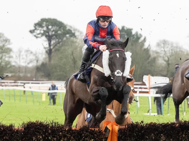 Images from Fontwell's Boxing Day race meeting / Pictures: Darren Cool for Fontwell Park