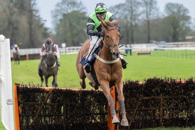 Images from Fontwell's Boxing Day race meeting / Pictures: Darren Cool for Fontwell Park