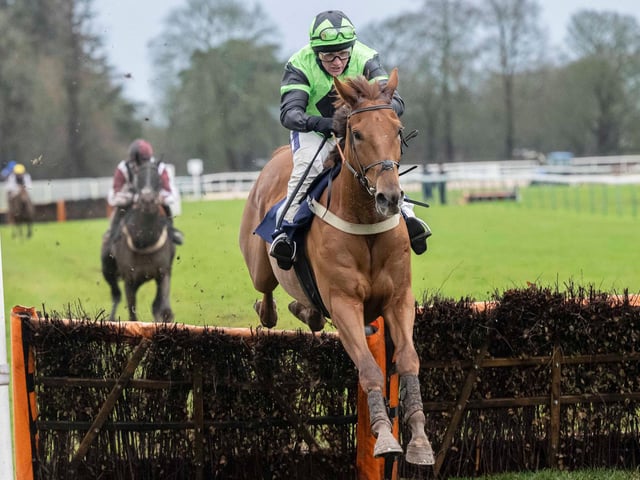 Images from Fontwell's Boxing Day race meeting / Pictures: Darren Cool for Fontwell Park