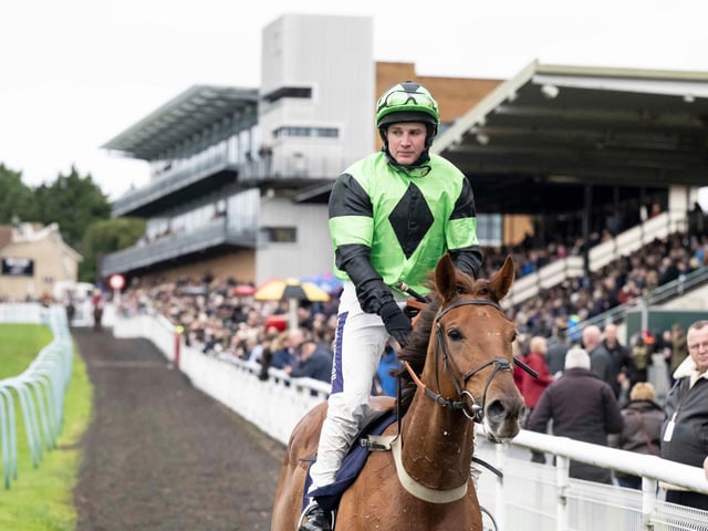 Images from Fontwell's Boxing Day race meeting / Pictures: Darren Cool for Fontwell Park
