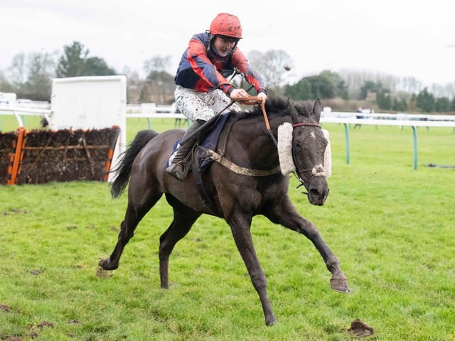 Images from Fontwell's Boxing Day race meeting / Pictures: Darren Cool for Fontwell Park