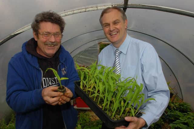 MP Stewart Jackson visits Gerry Warren at Dogsthorpe Road allotment site. They are pictured inside the polytunnel holding sweetcorn plants grown in seed cells originally seized by city police in a drugs raid and then donated to community projects.