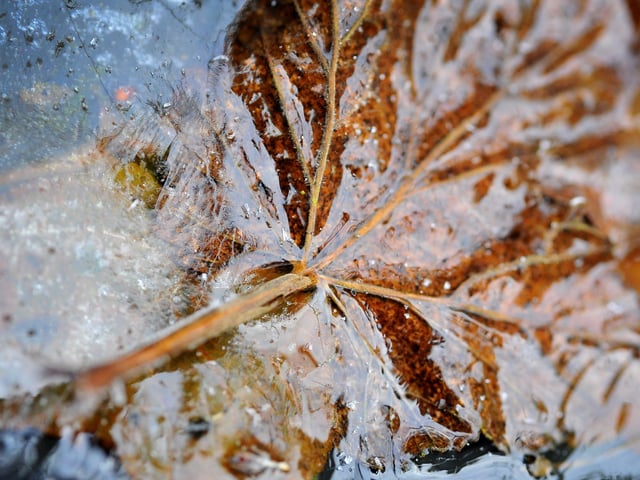 Frosty morning in West Sussex - January 2022. Pic S Robards SR2201061 SUS-220601-114918001