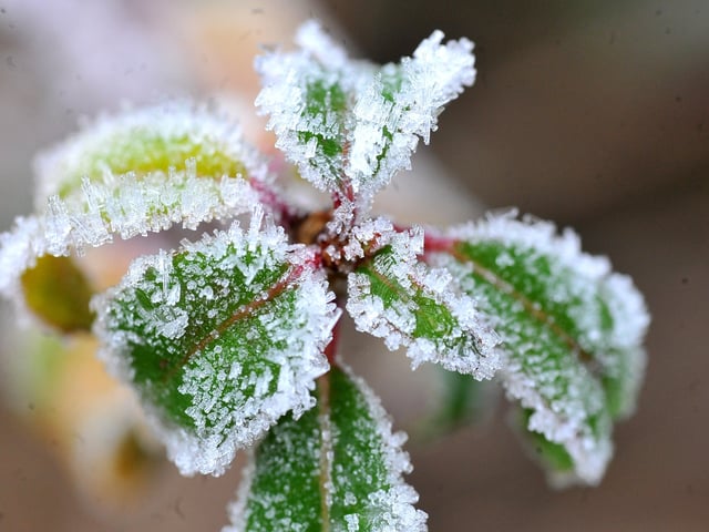 Frosty morning in West Sussex - January 2022. Pic S Robards SR2201061 SUS-220601-115005001