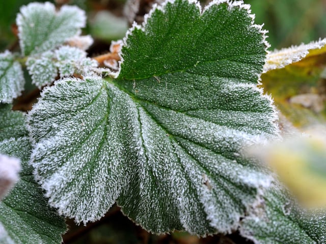 Frosty morning in West Sussex - January 2022. Pic S Robards SR2201061 SUS-220601-115016001