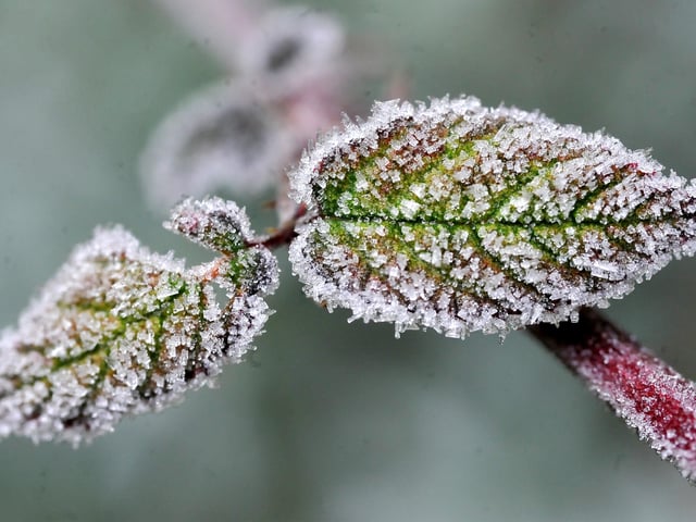 Frosty morning in West Sussex - January 2022. Pic S Robards SR2201061 SUS-220601-115028001