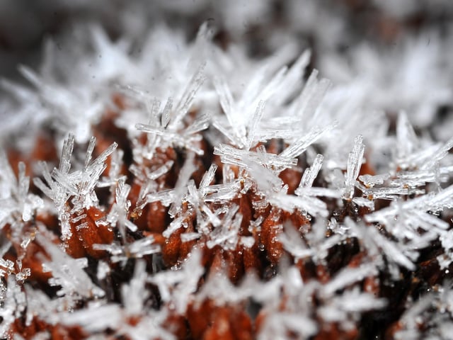 Frosty morning in West Sussex - January 2022. Pic S Robards SR2201061 SUS-220601-115040001