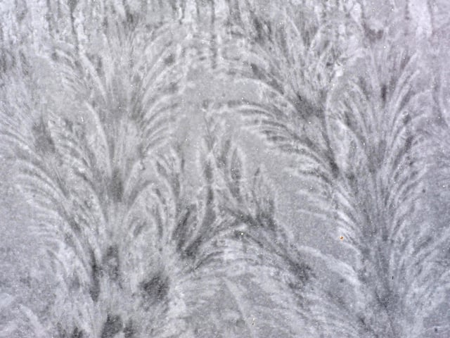 Frosty morning in West Sussex - January 2022. Pic S Robards SR2201061 SUS-220601-114843001