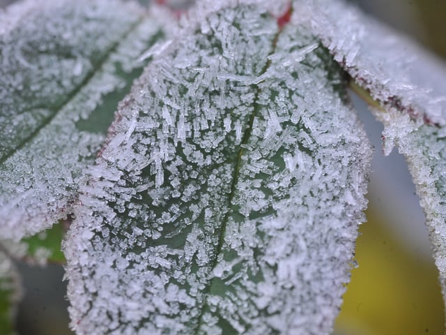 Frosty morning in West Sussex - January 2022. Pic S Robards SR2201061 SUS-220601-114952001