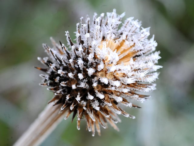 Frosty morning in West Sussex - January 2022. Pic S Robards SR2201061 SUS-220601-115103001