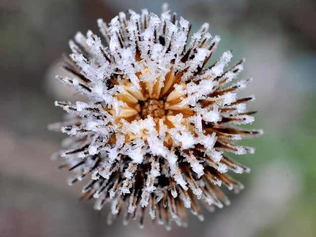Frosty morning in West Sussex - January 2022. Pic S Robards SR2201061 SUS-220601-115114001