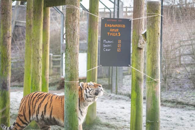 Whipsnade Zoo’s keepers began the mammoth task of counting every animal for their annual stocktake