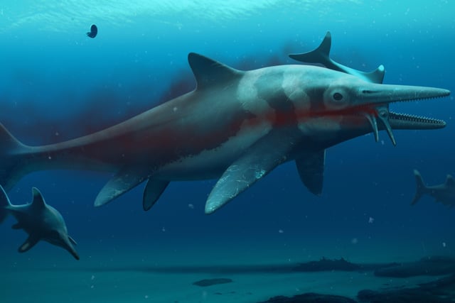 A projection of what the Ichthyosaur would have looked like.
Photo: Bob Nicholls