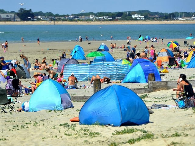 In 2021 West Wittering was named as one of the UK's safest dog-friendly beaches.
Picture: Steve Robards