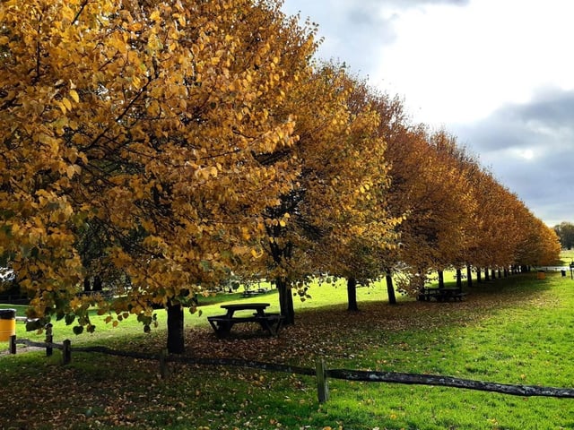 With over 700 acres of parkland, there are many paths for you and your dog to explore.
Be aware that there are deer in the park so best to keep an eye on your pooch.
Picture: Steve Robards