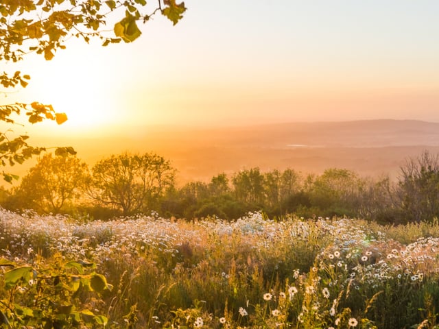 South Downs View by Katarzyna Kedziora.