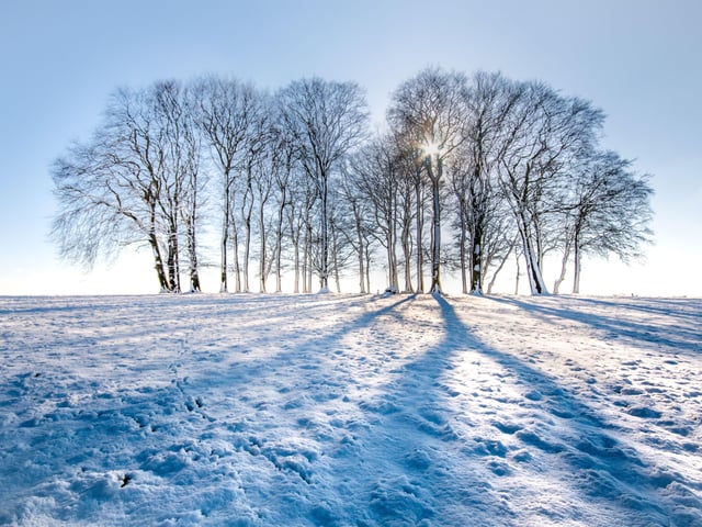 Cheesefoot Head in the Snow by Ron De'Ath.