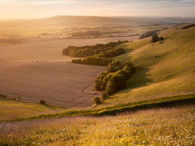 Zig Zag by Paul Devine.