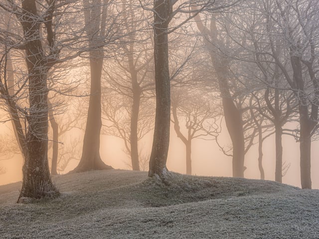 Fire & Ice by Jamie Fielding. Awarded 1st place by the judges.
