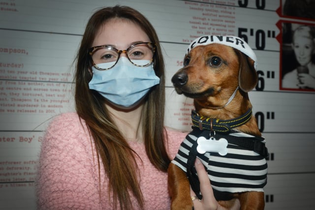 Dress Up Your Dog Day at the True Crime Museum in Hastings.

Layah Raines with Schnitzel SUS-220116-154102001