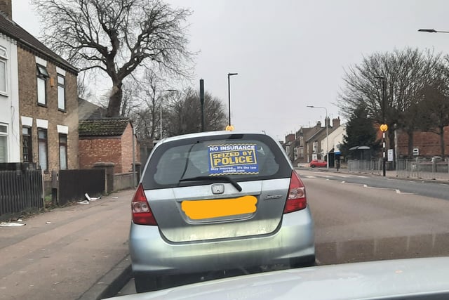 This driver was stopped for having no seatbelt or insurance. Vehicle seized and driver reported.