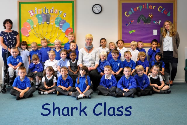 Motcombe Community School reception class 2014, Eastbourne.
Shark Class SUS-141014-105159001